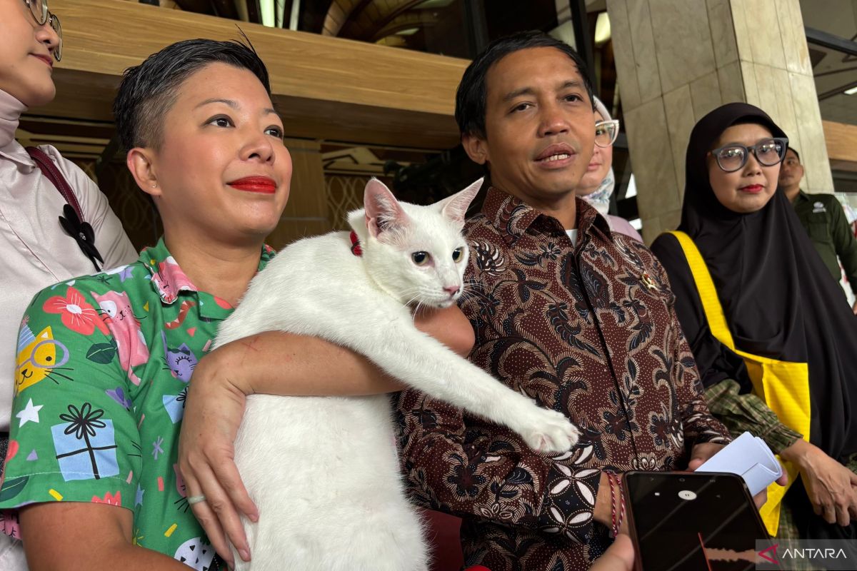 Forestry Minister: No applications yet for forest land for temporary and permanent flood shelters