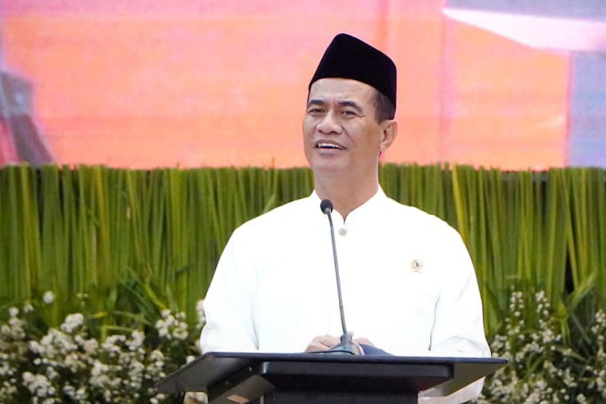 Bapanas Strengthens Regulations on Quality Rice Reserve Procurement