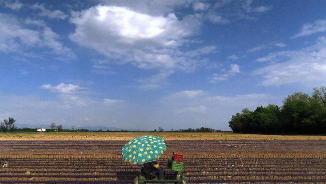 Beyond Oil: US-Iran Conflict Brings New 'Apocalypse' for the World