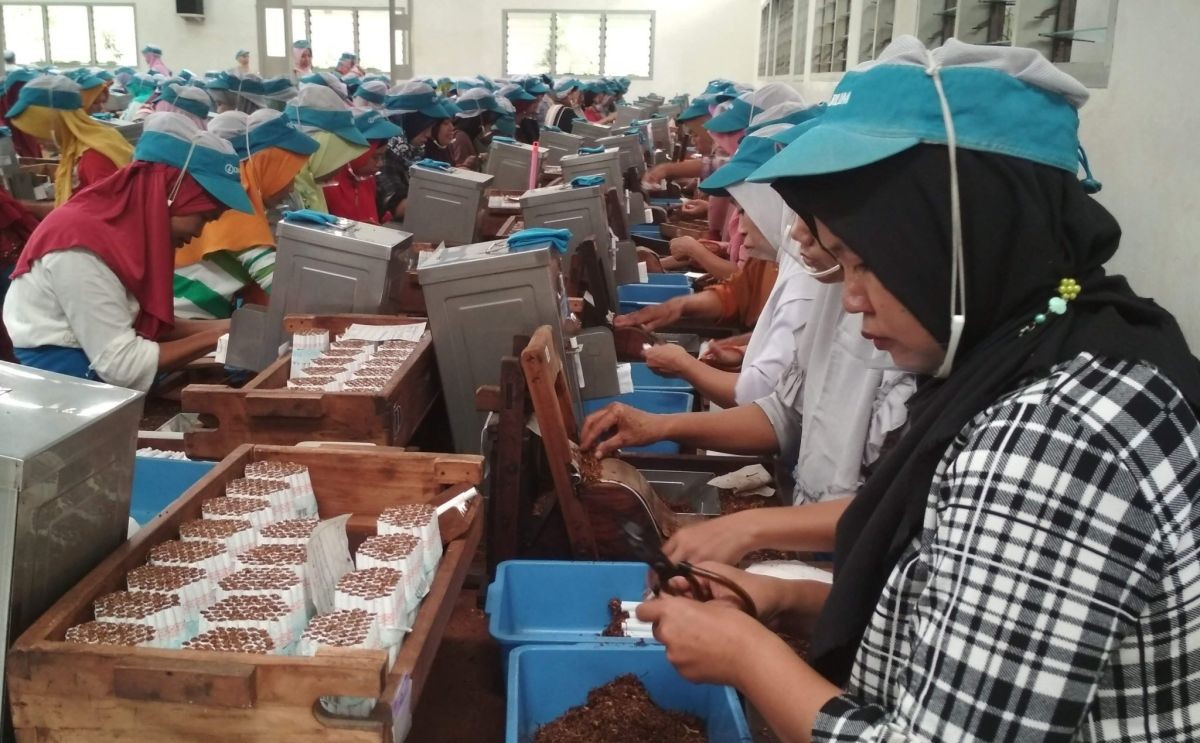 Tobacco Industry Criticises Government Proposal to Limit Nicotine and Tar Content