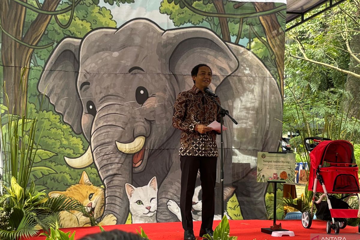 Indonesia pledges habitat restoration to protect Sumatran elephants