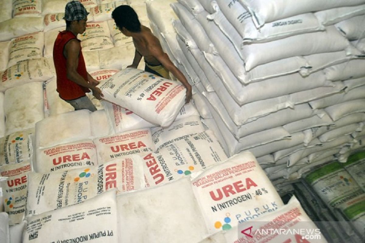 Foreign demand surges for Indonesia's urea amid Iran-US tensions: Minister