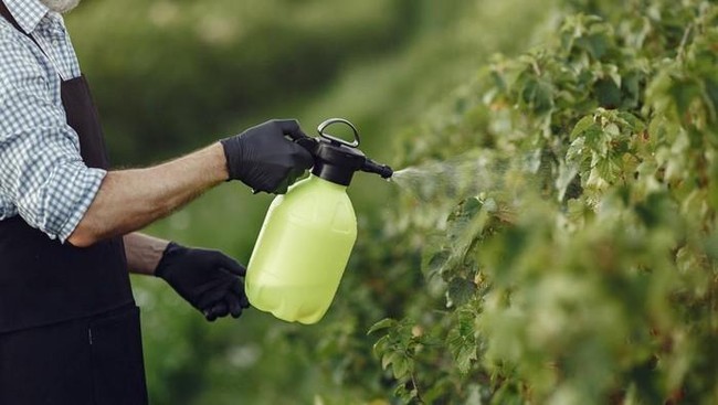 Prepare for 20% Pesticide Price Increase; Beware of Counterfeit Products Flooding Market