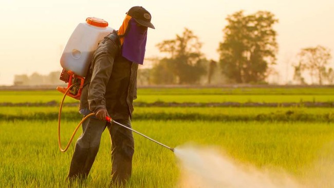 Farmers Take Note: Pesticide Producers Signal Price Rises Due to Rising Production Costs