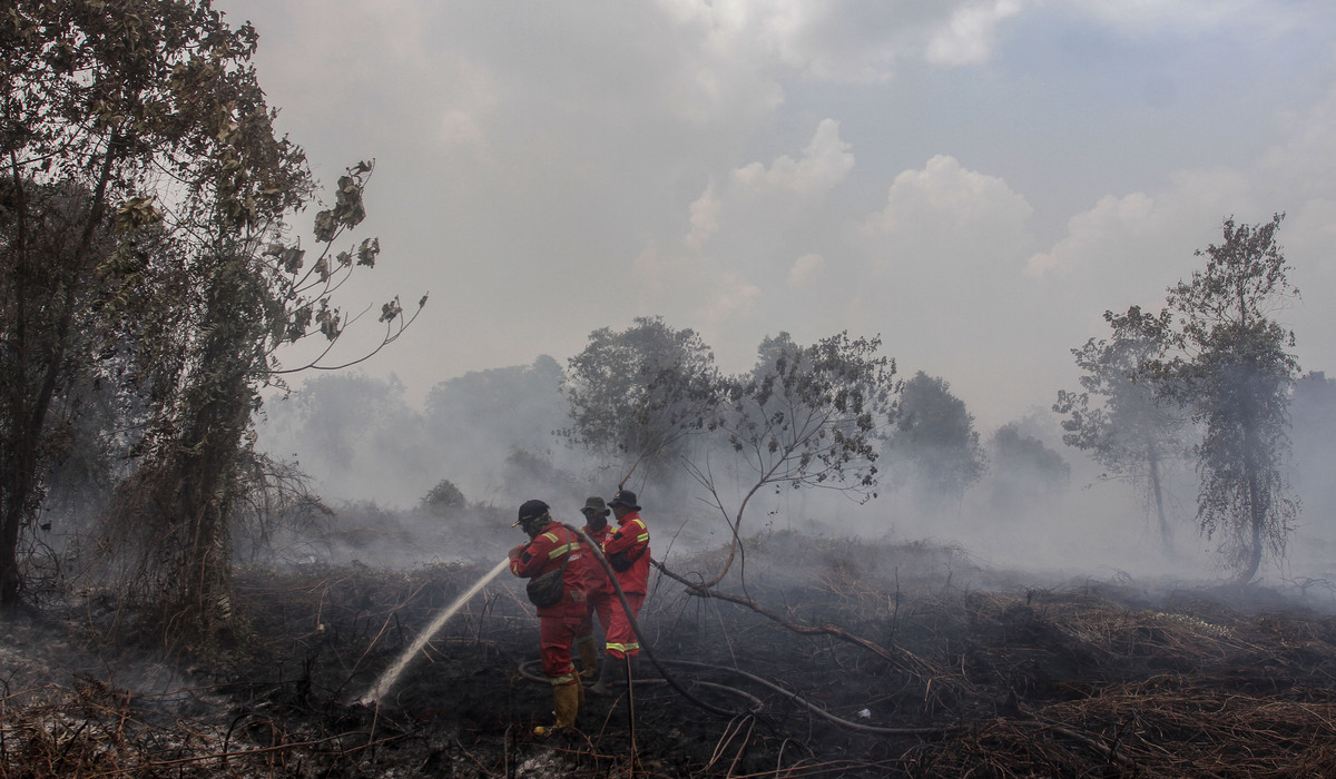 Riau Forest and Land Fires Reach 4,400 Hectares as Manggala Agni Intensifies Extinguishing Efforts