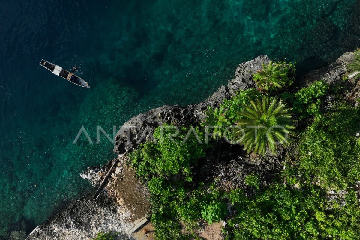 Ministry of Marine Affairs and Fisheries establishes seagrass baseline to strengthen blue carbon governance