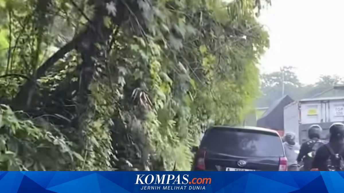 Long-Parked Vehicle in Cibodas Tangerang Raises Suspicions of Stolen Car Among Residents