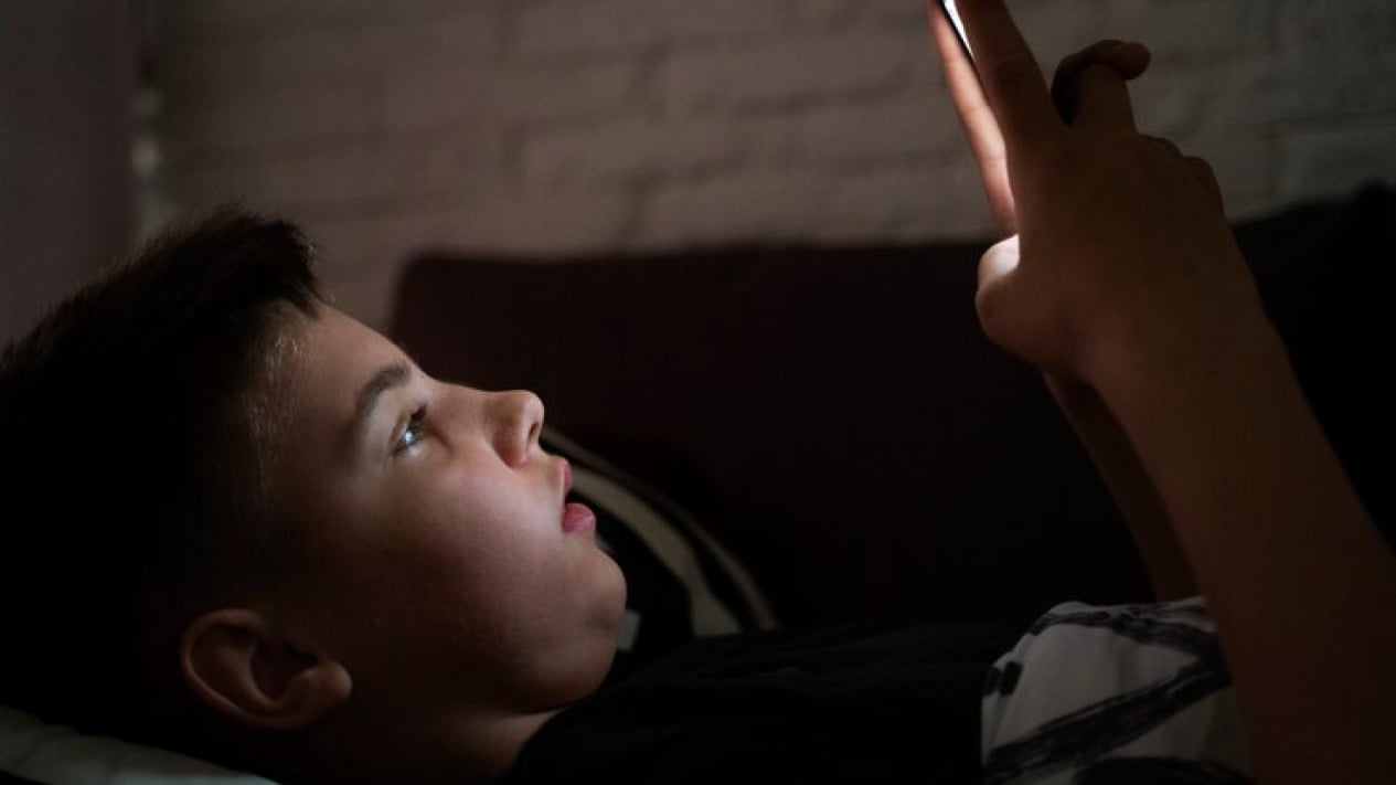 Regulation on PP TUNAS Deemed Unready, These Aspects Are Under Scrutiny