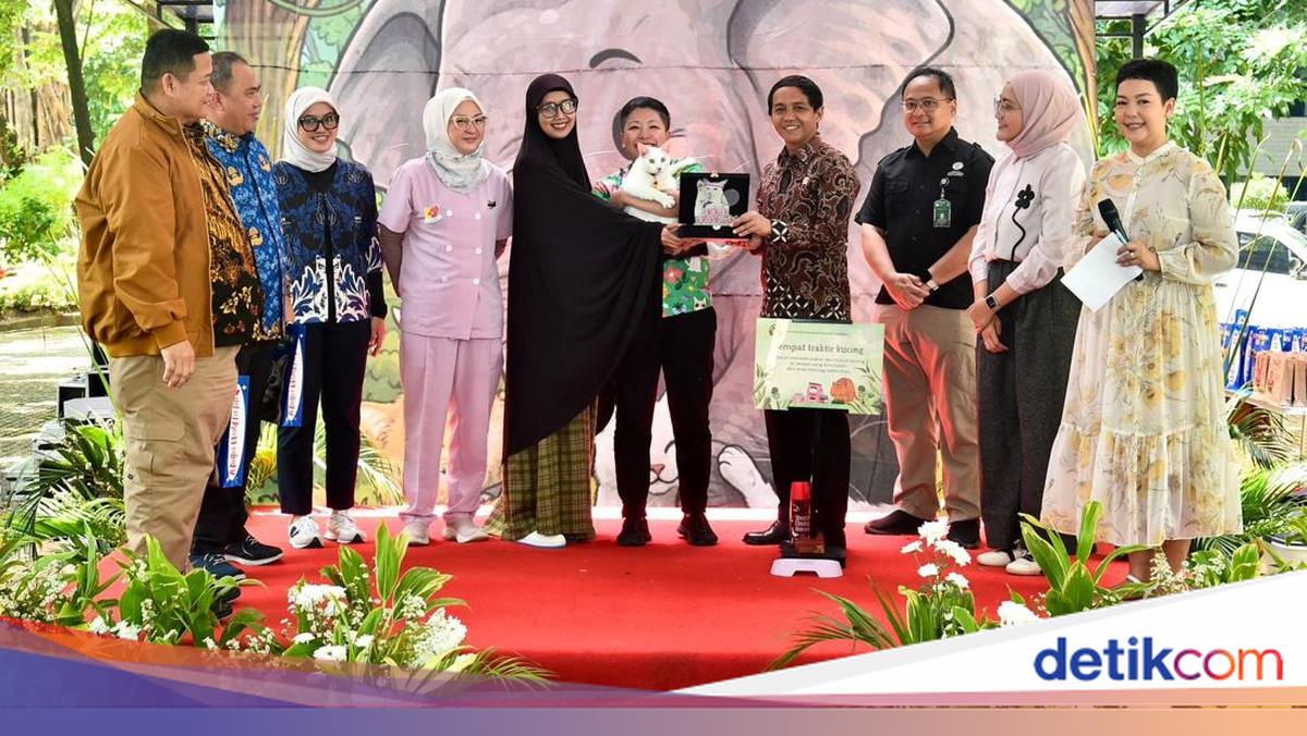 Ministry of Forestry Launches Animal-Friendly Programme, Street Cats Sterilised and Vaccinated