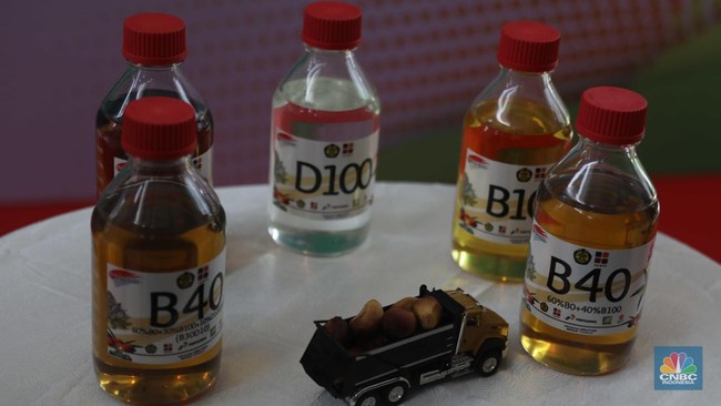 Indonesia's New Biodiesel Blend Cannot Be Immediately Implemented, Producers Reveal Reasons