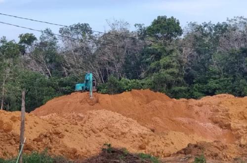 Enforcement of Mining in Forest Areas: Forest Area Task Force Drives Recovery of State Rights