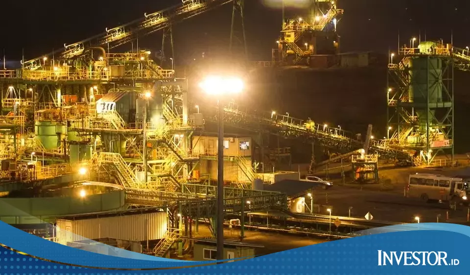 Coal Stock Gains as Oil Price Volatility Drives Market Sentiment