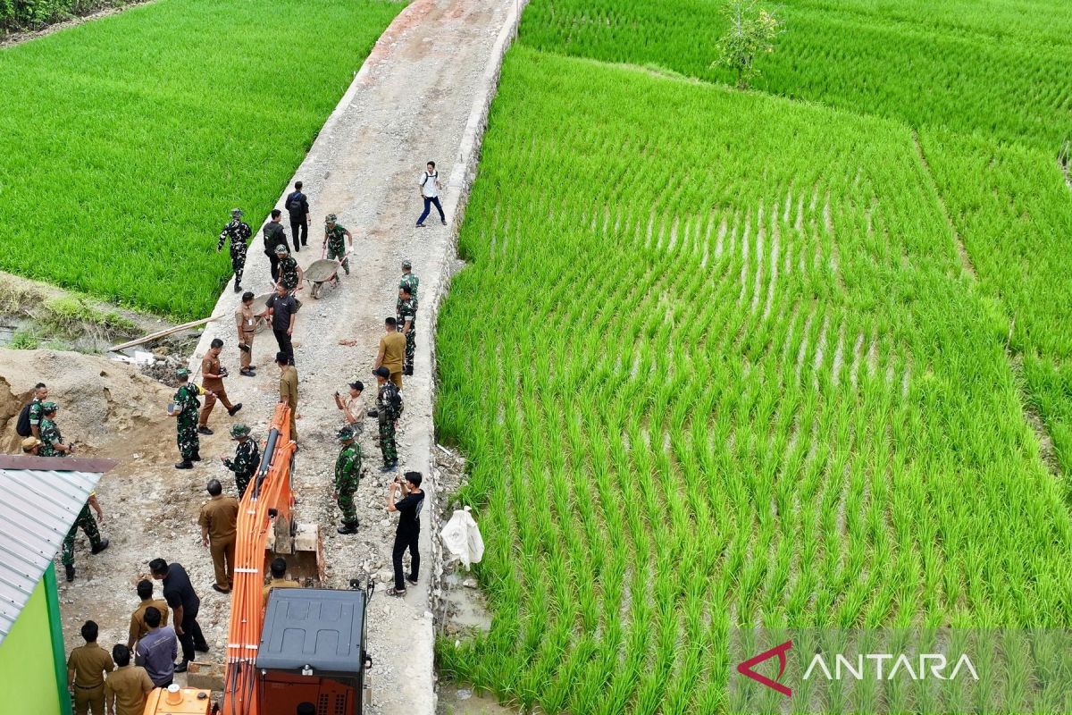 Harvesting on the Hambuku Hulu Farm Road
