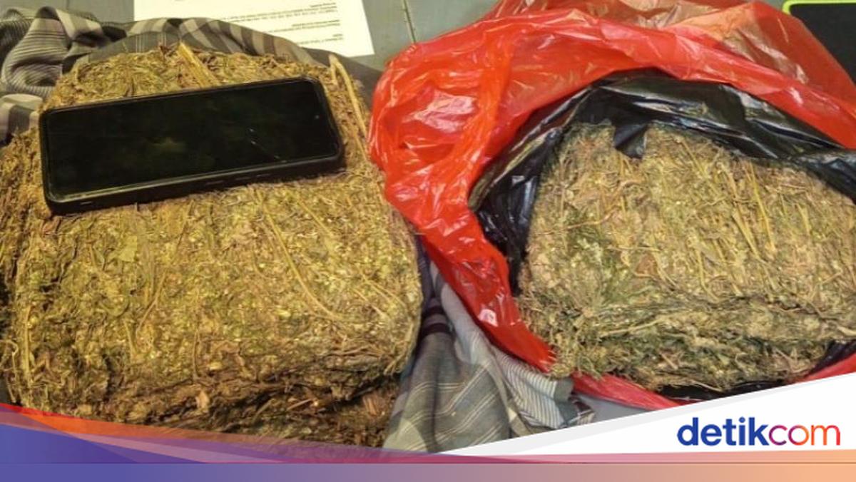 Police Raid Drug Dealer's Home in Depok, Seize 4.3 kg of Cannabis