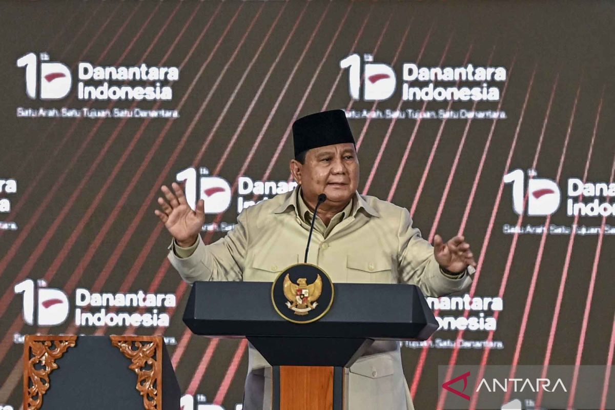 One Year of Danantara: Assessing Progress, Shaping the Future