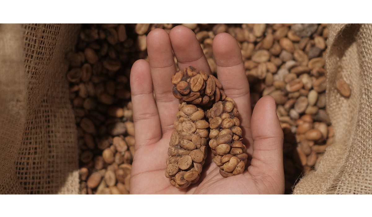 Safeguarding Authenticity and Security Standards of Indonesian Luwak Coffee in the Global Market