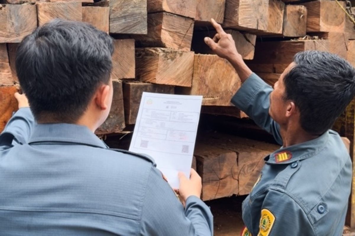 Ministry of Forestry Arrests Owner of Hundreds of Illegally Logged Timber Destined for South Sulawesi