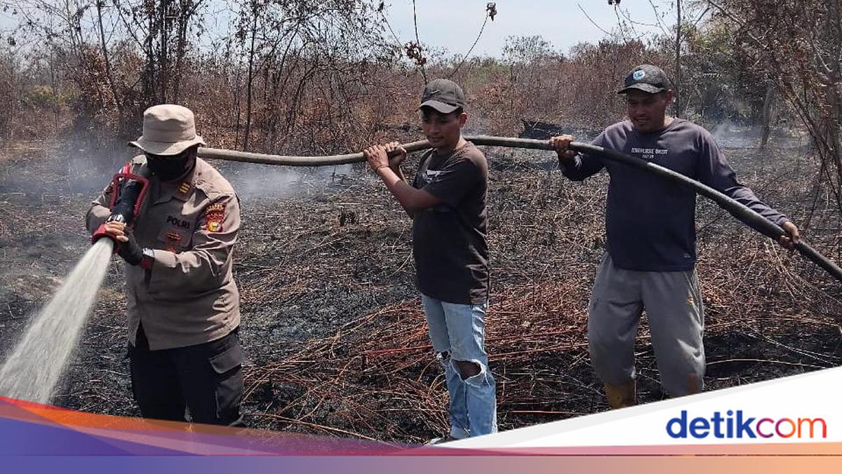 Land Fire in Bengkalis, Riau Extinguished by Police and Spread Prevented
