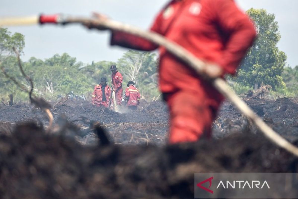 Officials Continue Efforts to Extinguish Peatland Fires in Jambi