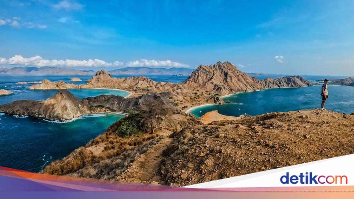 Tourism Vessels Now Permitted to Sail to Komodo and Padar Islands