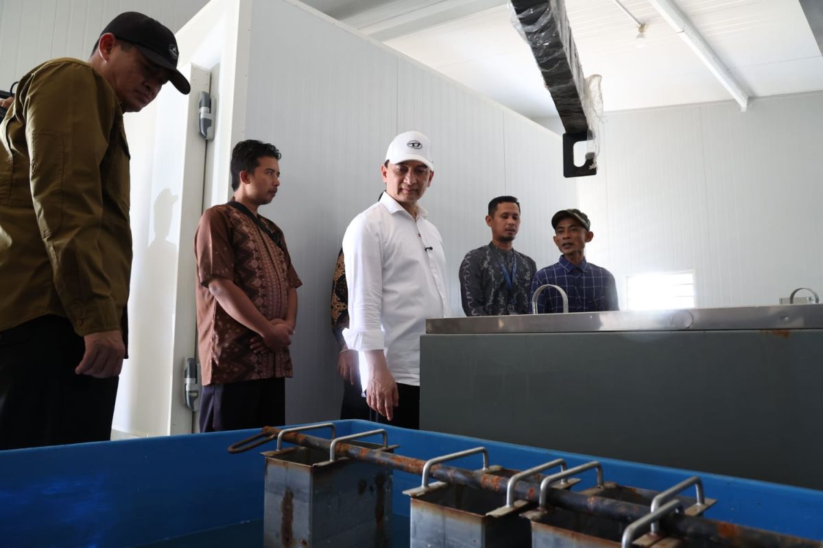 Banten Modernises Red and White Fishermen's Village to Improve Coastal Livelihoods