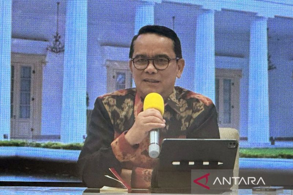 Indonesia postpones D-8 summit