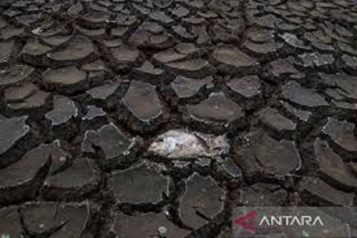 Bappenas highlights regions facing potential water crisis