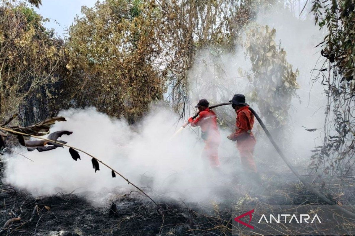 Joint team battles to extinguish 15-hectare forest and peatland fire in Kampar