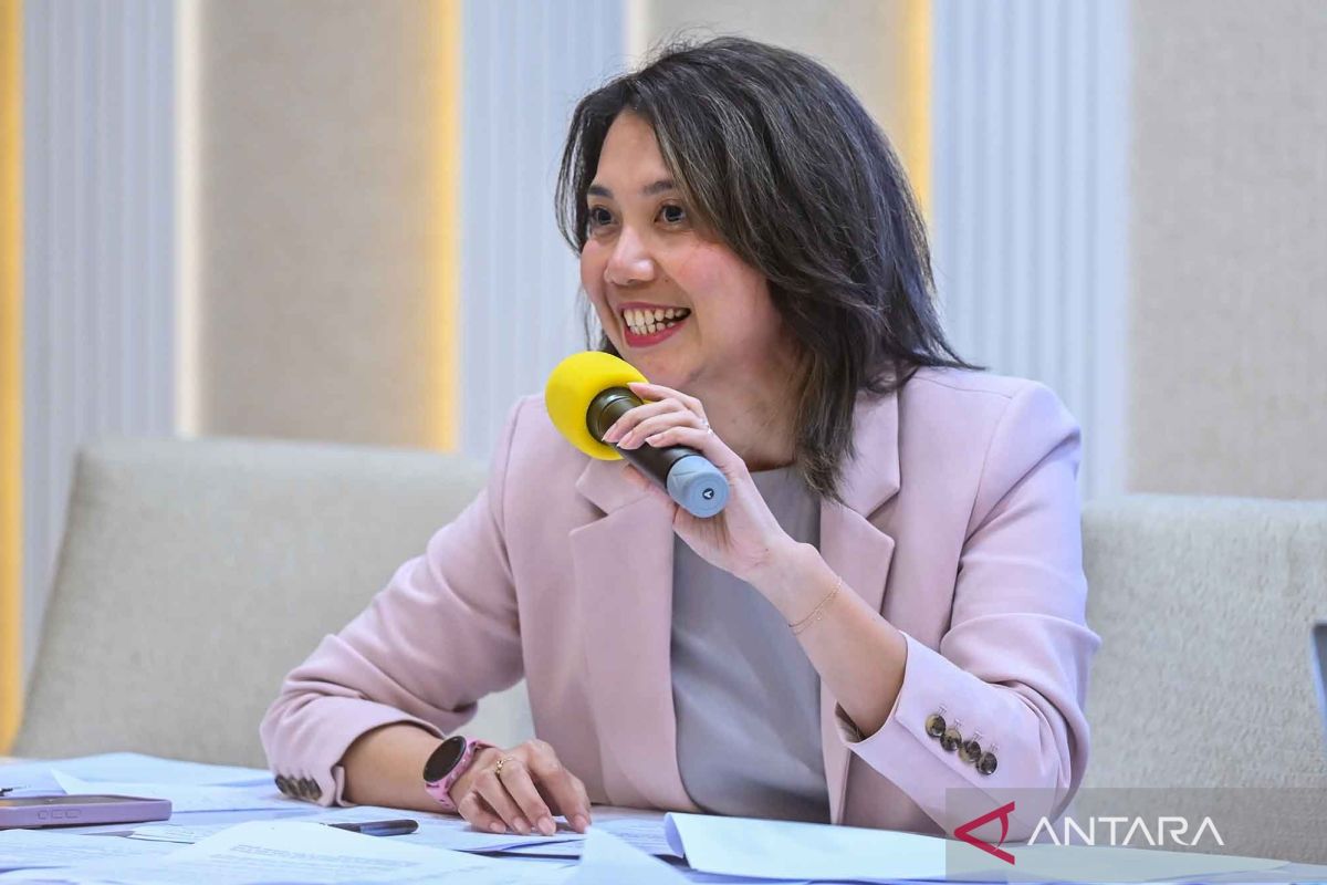 Indonesia postpones D-8 summit due to US-Israel and Iran conflict