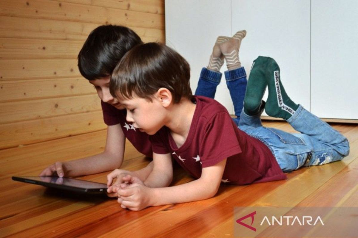 Psychologist: Social media fulfils adolescent identity needs