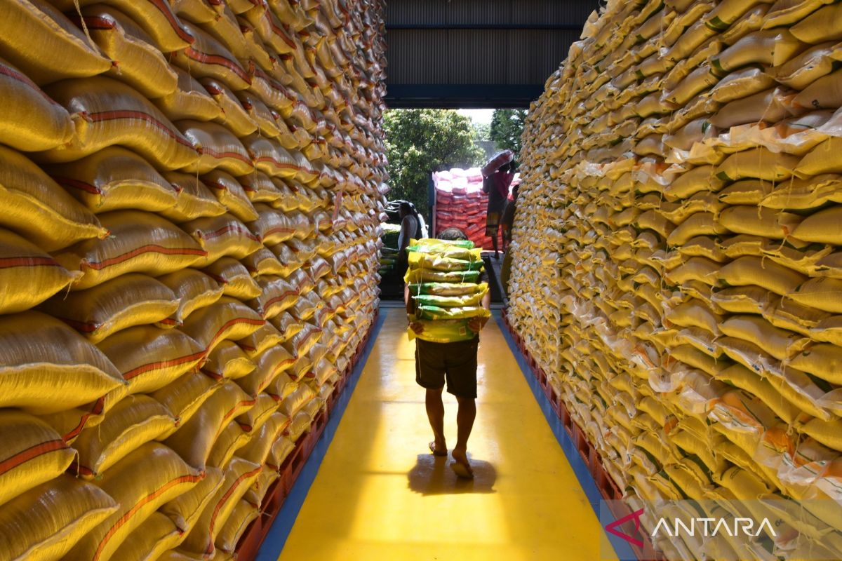 Agriculture Minister: Rice reserves reach four million tonnes, secure until year-end