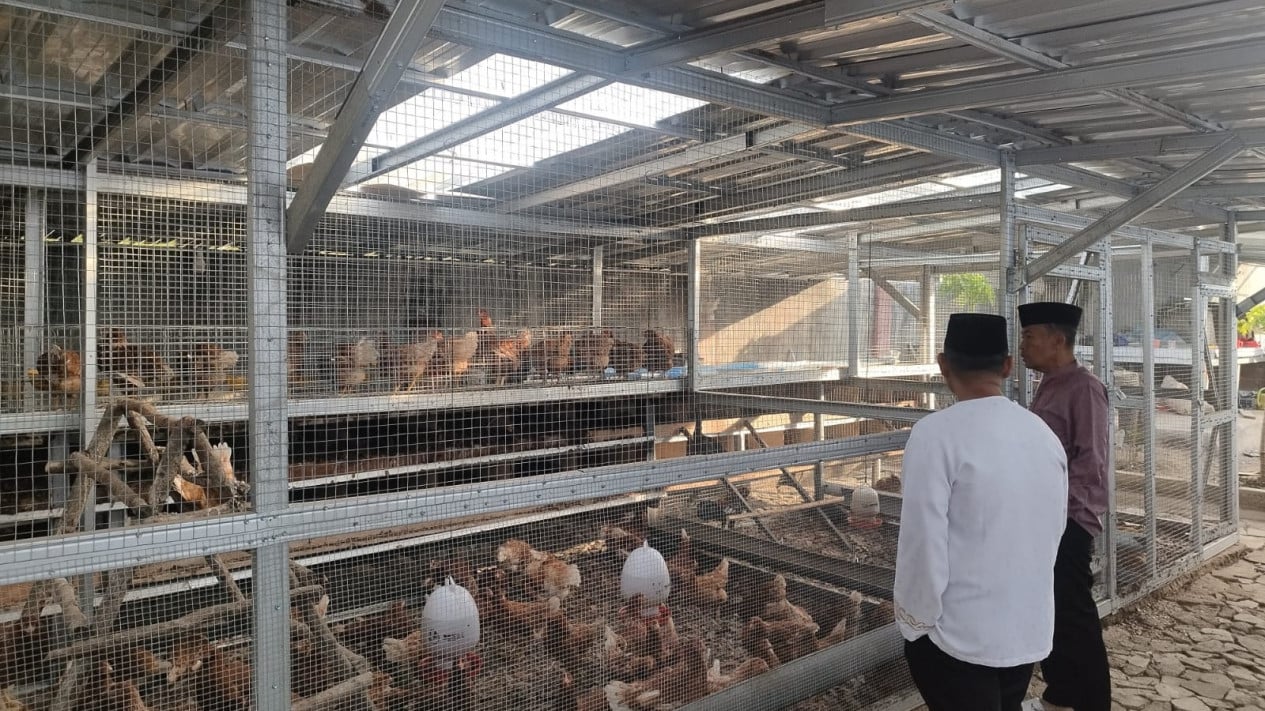 Muntok Detention Inmates Equipped to Become Professional Poultry Farmers Through Layer Chicken Rearing