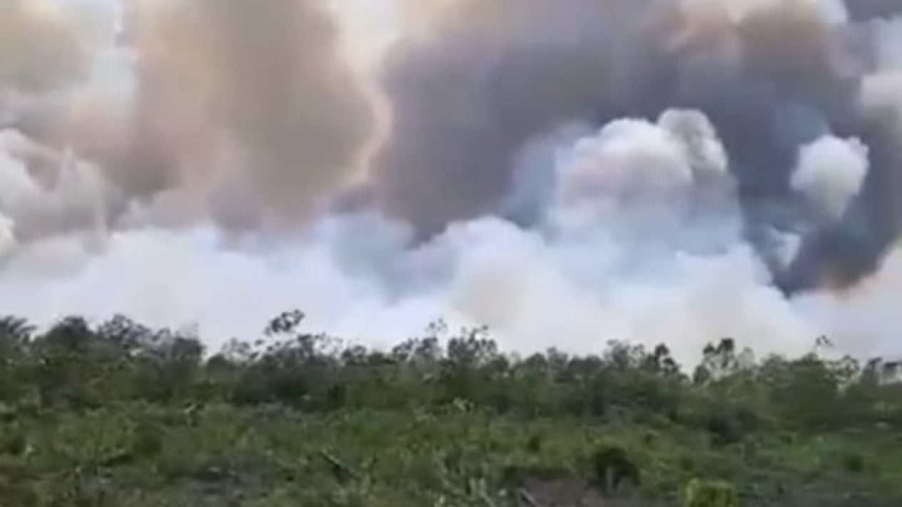 Forest and Land Fire Smoke Disrupts Traffic Flow on Riau-North Sumatra Highway