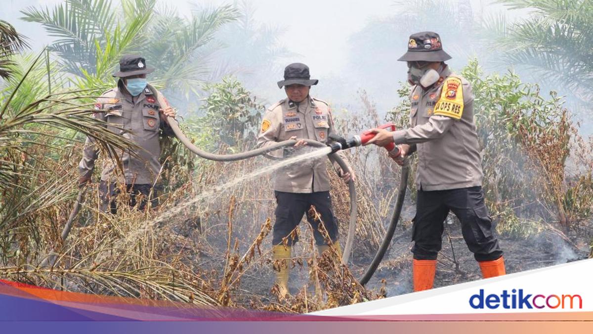 30 Hectares of Land Burn in Rohil, Police Chief Joins Firefighting Effort