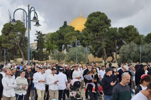 Turkey Condemns Closure of Al-Aqsa Mosque, Calls for Muslim Nations to Act