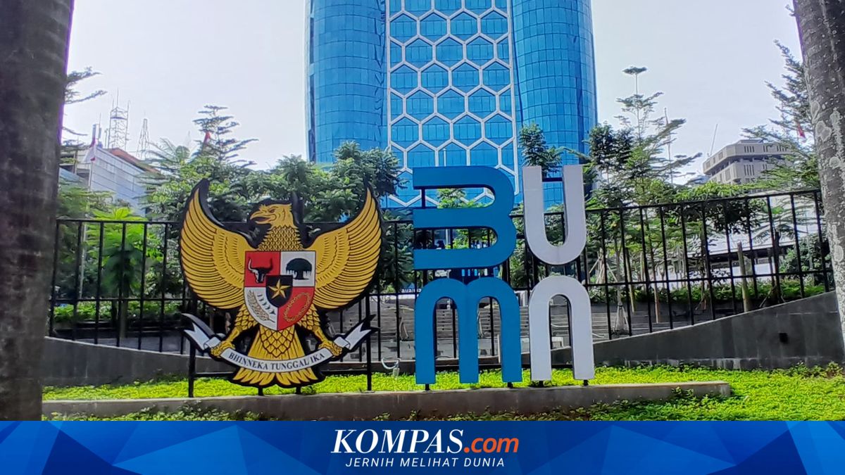 Questioning the Proposed Presidential Special Envoys in State-Owned Enterprises