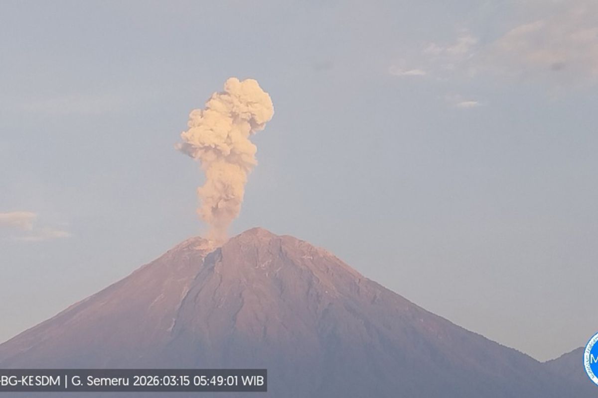 Mount Semeru erupts 11 times with ash columns reaching 1,200 metres