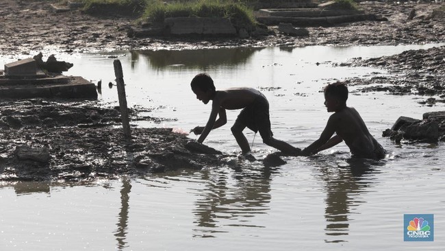 Popular Indonesian Fish Absorbs Toxins from Water