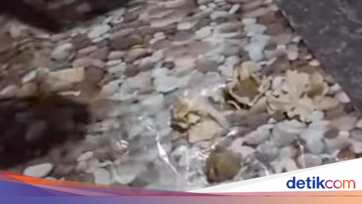 Viral Video Shows Poor Quality Siomay in Nganjuk Free Meal Programme, Officials Apologise