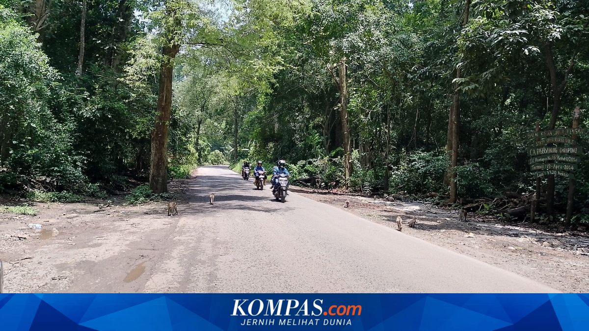 Quick Permanent Patching Being Prepared on Weleri-Kendal-Semarang Route