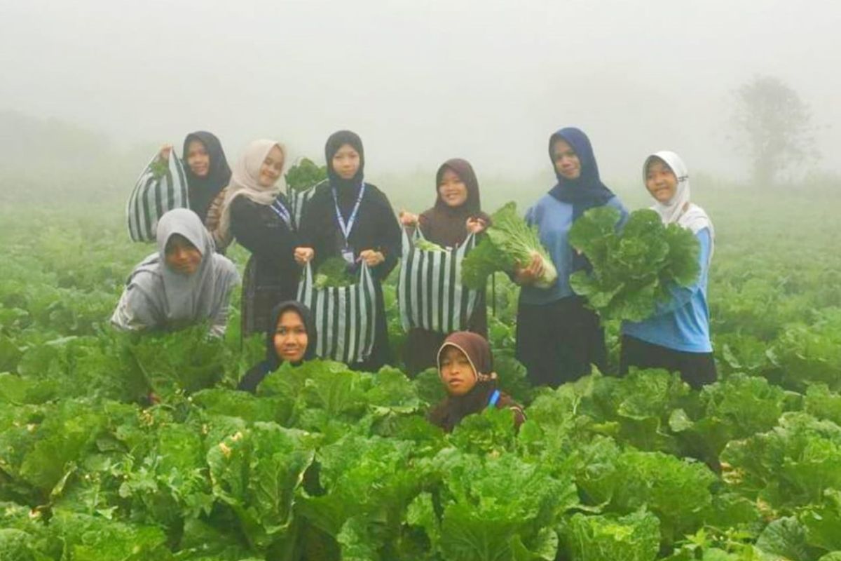 Kampung Susu Lawu in Magetan develops nature-based tourism packages