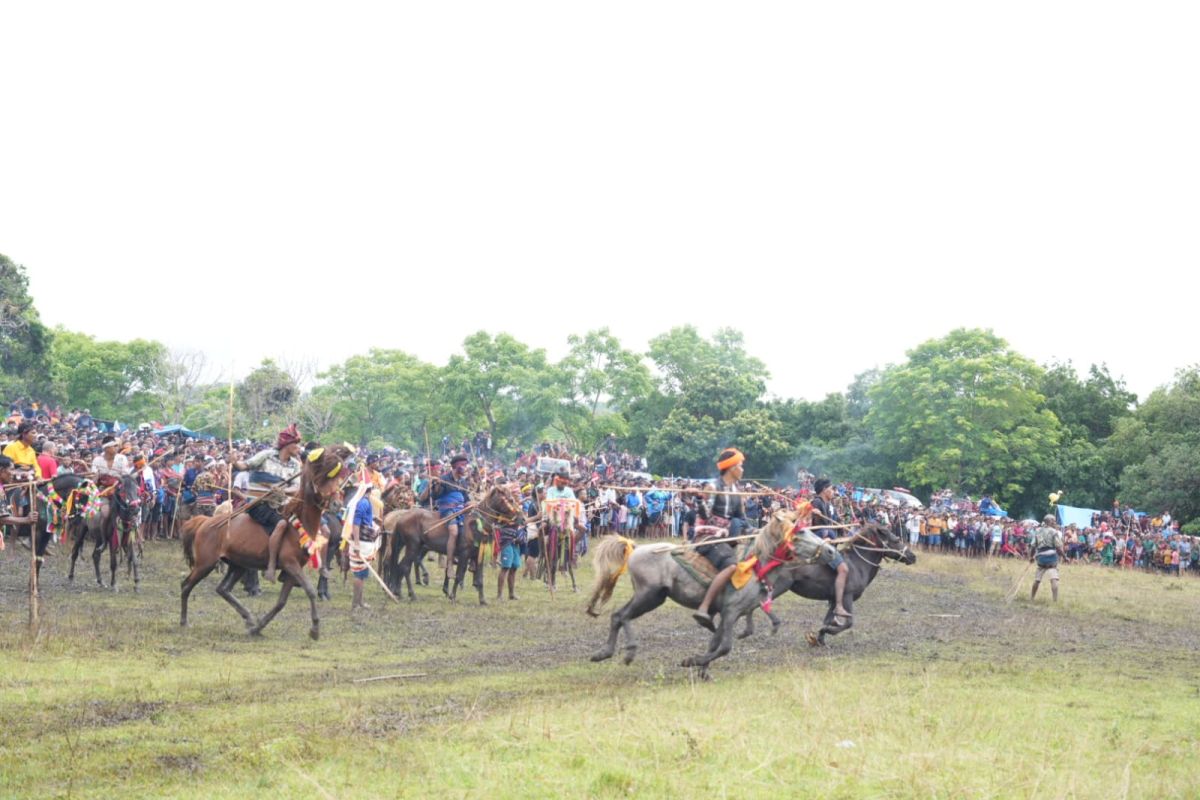 NTT Deputy Governor: Pasola Gaura spectacle in Sumba capable of boosting regional economy