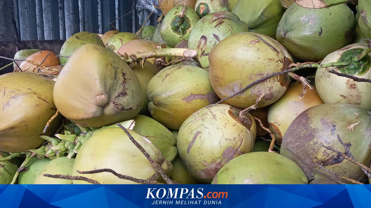 Nine Nutrition Service Units in Gresik Suspended for Serving Whole Coconuts in Free Nutritious Meals Programme