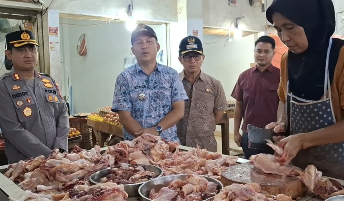 Ahead of Lebaran 2026, Chicken Meat Prices in Bangka Reach Rp43,000 Per Kilogramme
