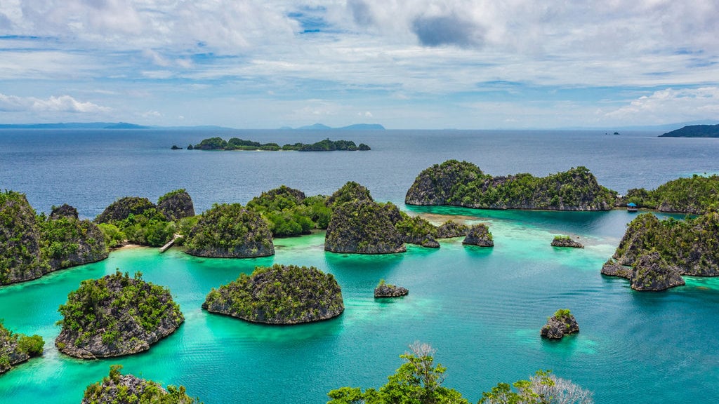 Prabowo Revokes Mining Permits in Raja Ampat: Reasons and List of Companies
