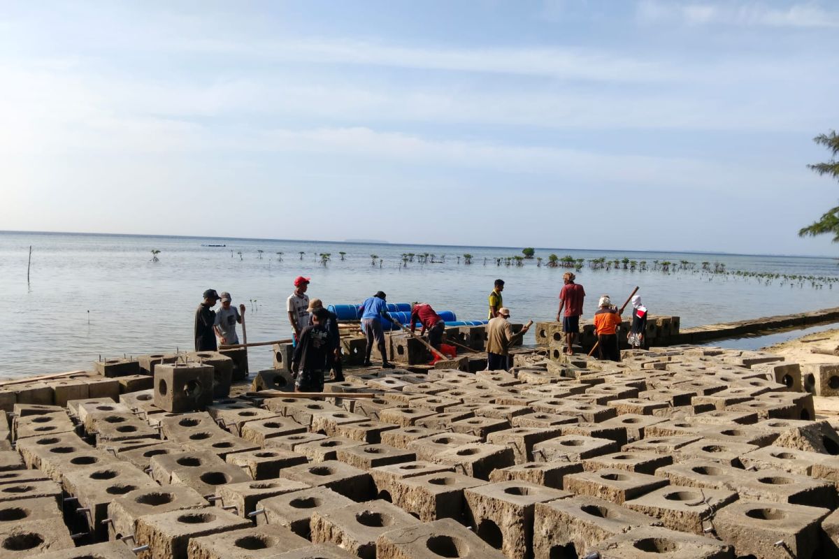 Thousand Islands Administration Submerges 600 Coral Reef Substrates at Pari Island