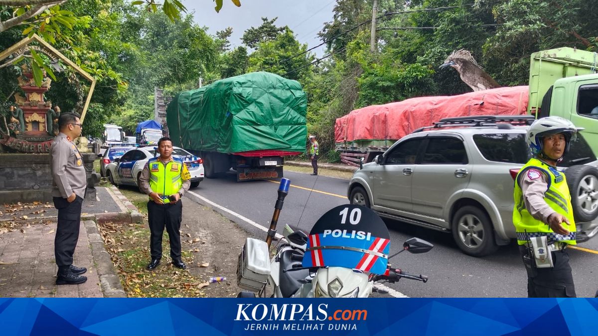 Police Assert Gilimanuk Congestion Due to Ferry Queue, Not Traffic Management Failure