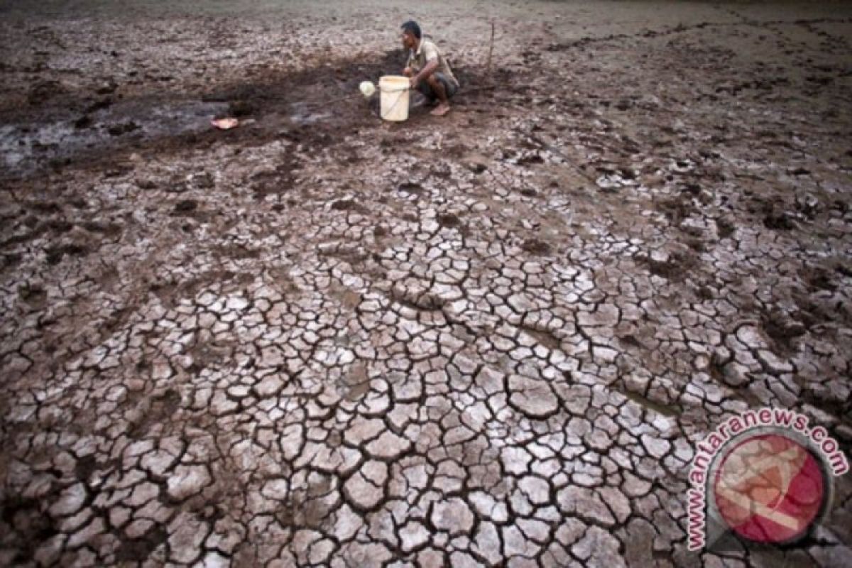 El Niño Arrives, Soil Begins to Lose Water