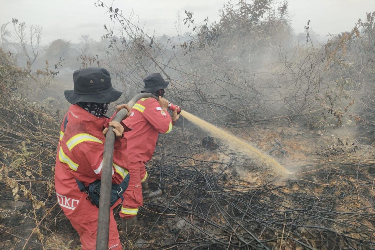 Ministry of Forestry handles forest and land fires spanning 78.2 hectares in Riau in March
