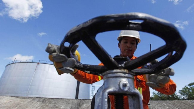 Japan Energy Giant Urged to Accelerate Rp339 Trillion Investment in Indonesia